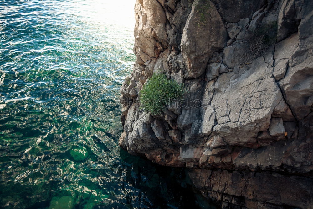 Similar – Image, Stock Photo shadow running New Zealand