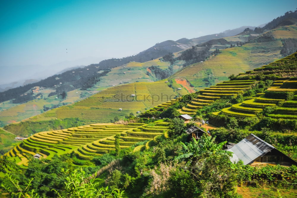 Similar – Image, Stock Photo Inca shrine gardens