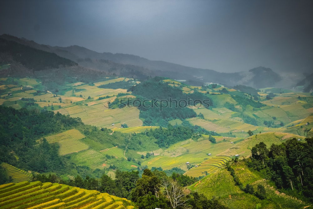 Similar – Top view of the rice paddy fields in northern Thailand