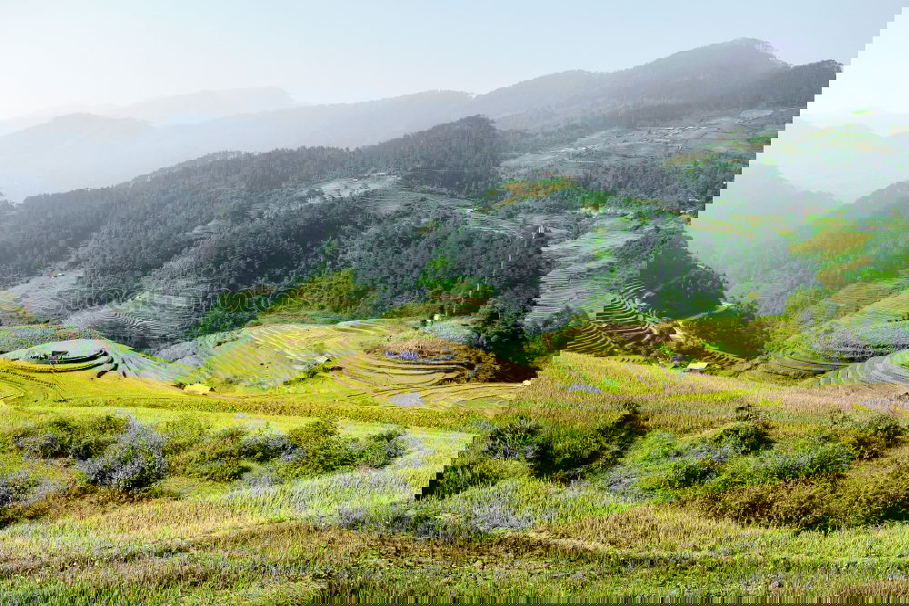 Similar – Image, Stock Photo The green contour of the earth
