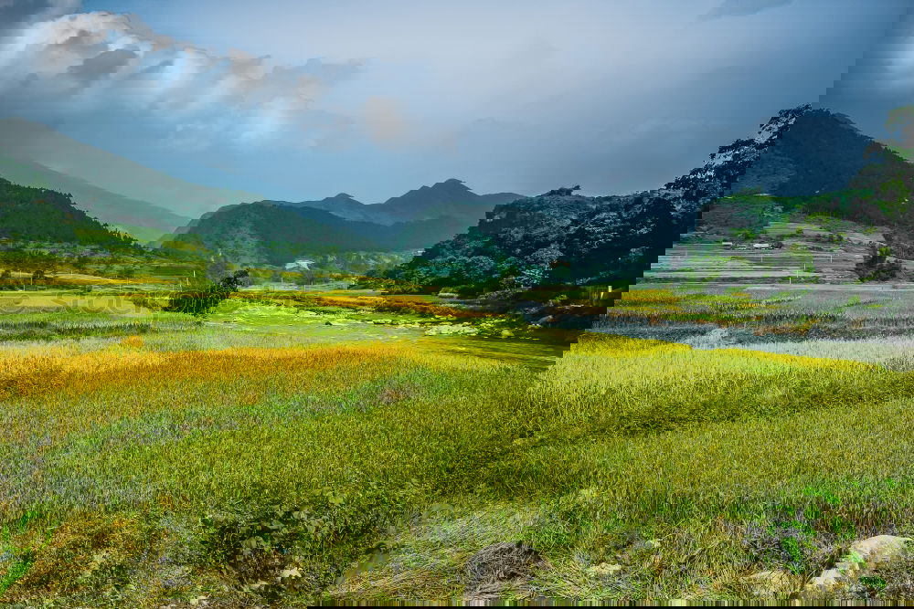 Similar – Image, Stock Photo Long path ahead. Landscape