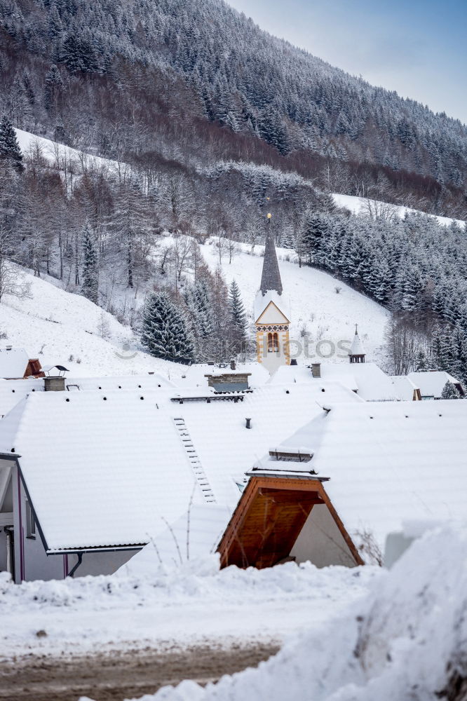 Similar – Image, Stock Photo housing exodus Landscape