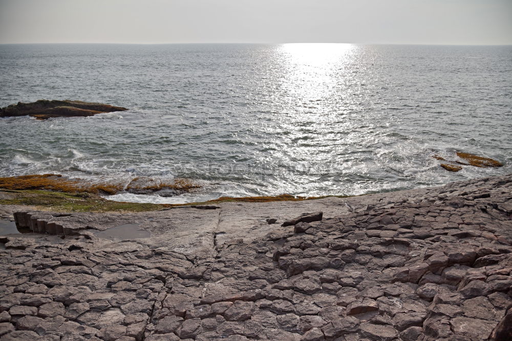 Similar – summer.sun.sea Environment