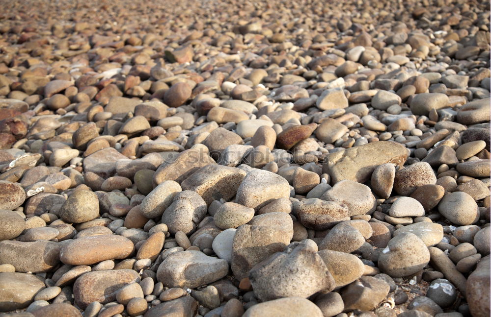 Similar – stone Beach Tenerife