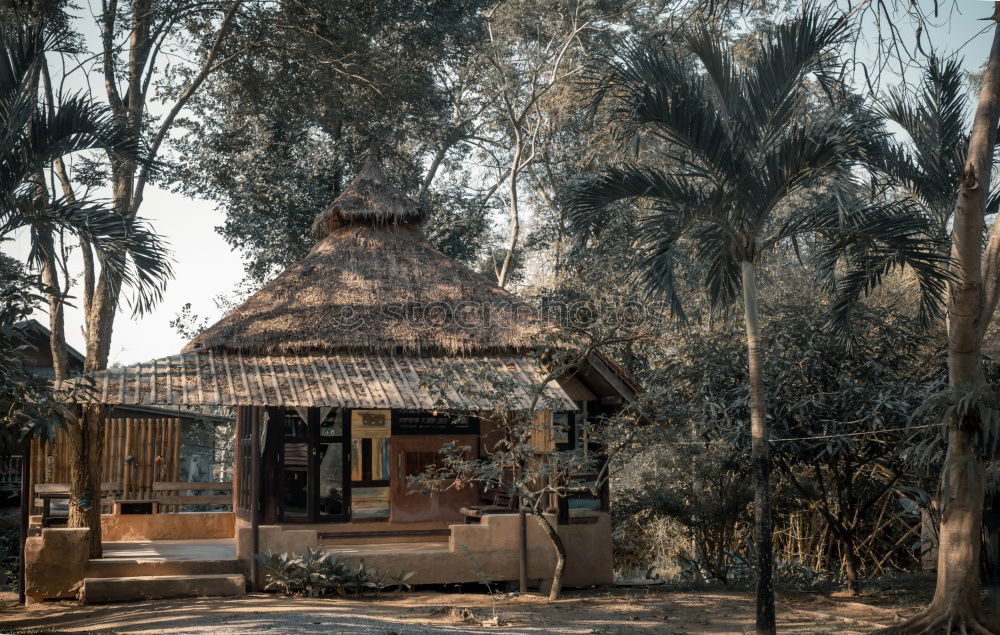 Similar – Image, Stock Photo Sri Lanka Car Station