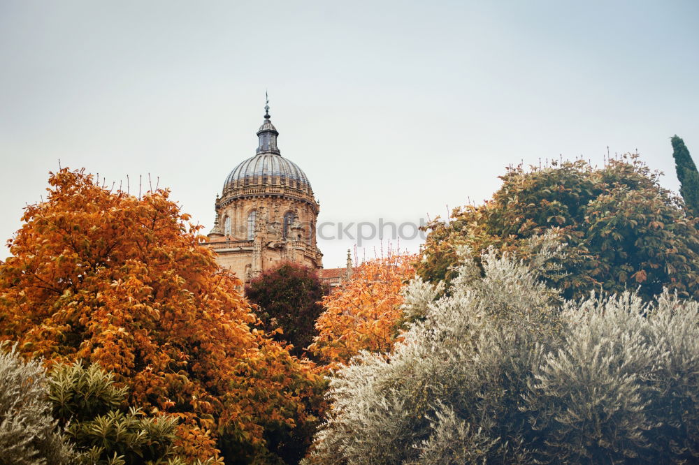 Similar – Image, Stock Photo #A# Dresden perspective