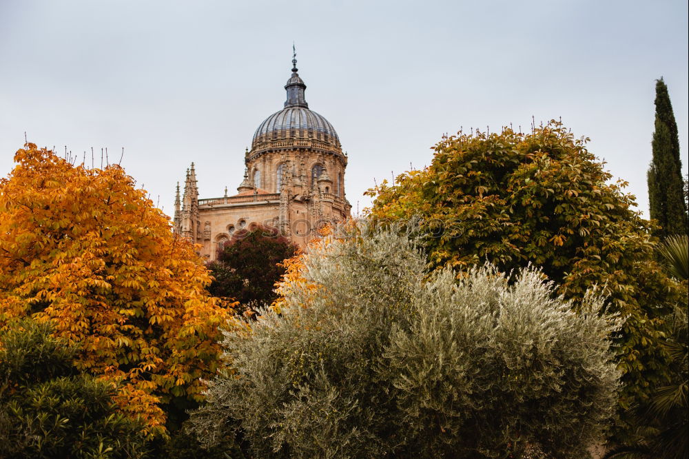 Similar – Image, Stock Photo XXIII Rome