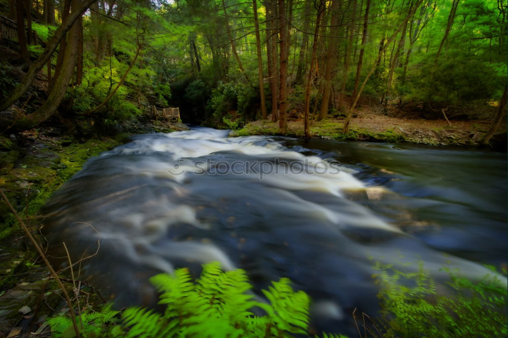 Similar – Little brook in the park