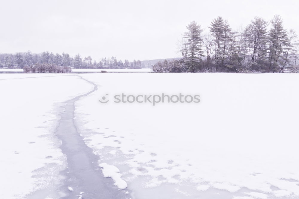 Similar – Foto Bild ein Riss geht durch den Schwarzwald !!!