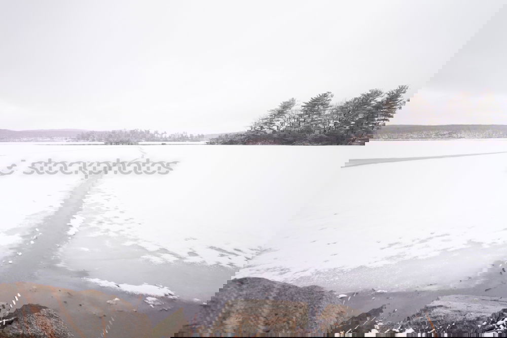 Similar – Image, Stock Photo deep sleep Landscape Water