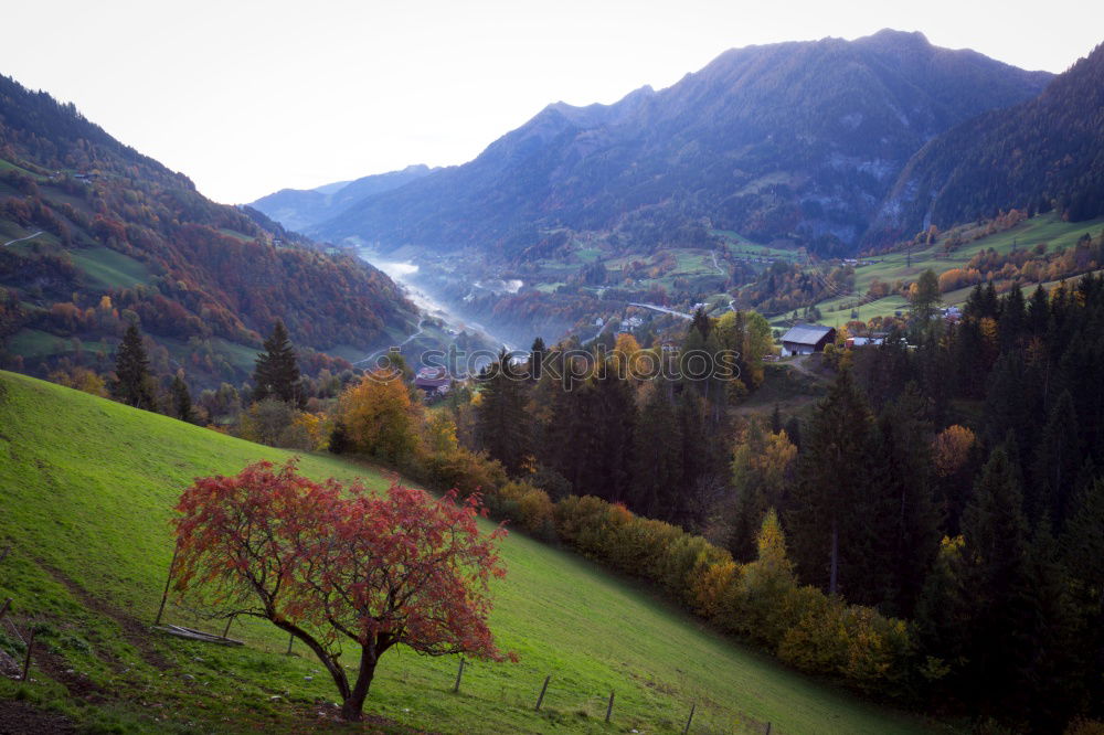 Similar – Image, Stock Photo Light and shadow plays on the Moselle