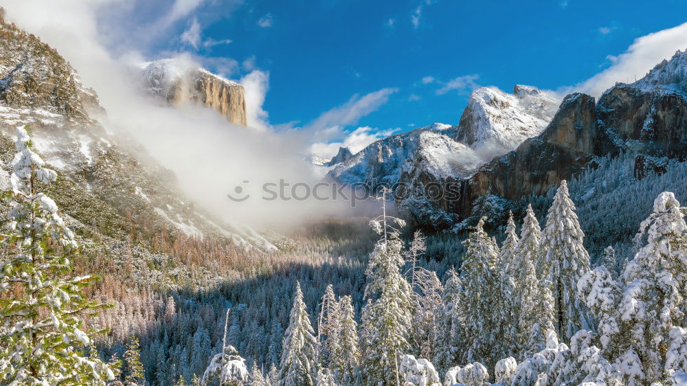 Similar – Image, Stock Photo Augenweide Nature