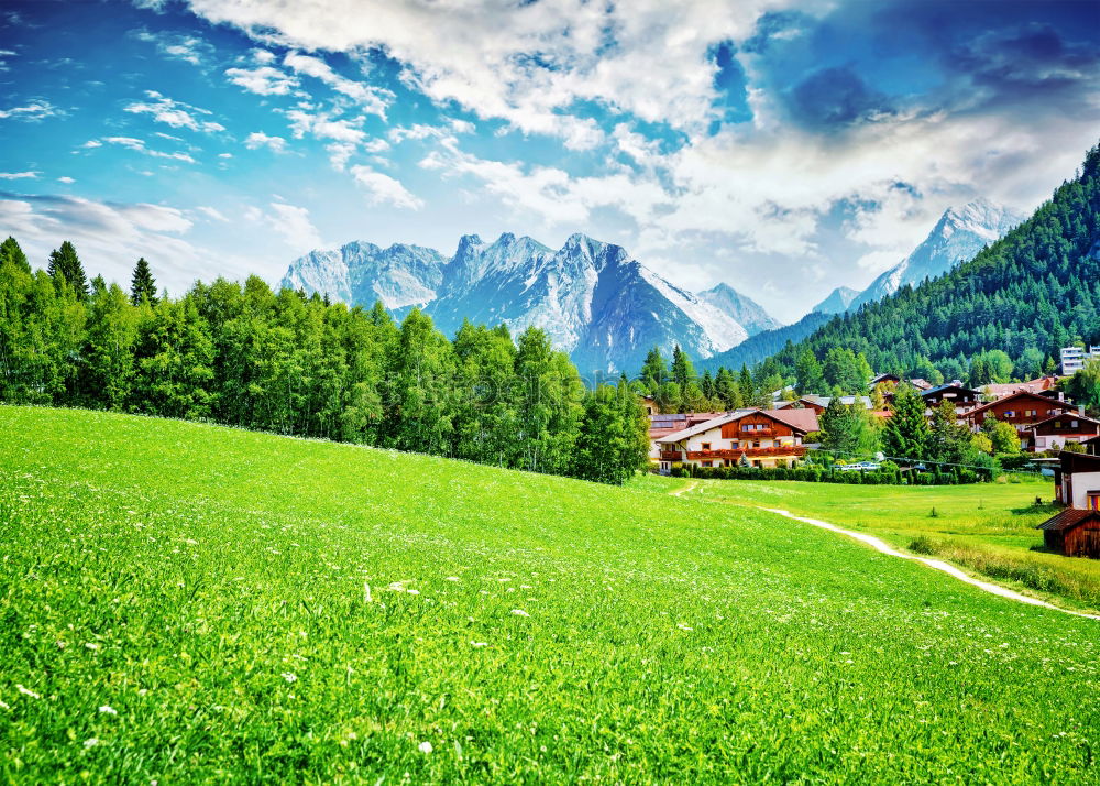 Similar – happy lovers on Holiday in the alps mountains