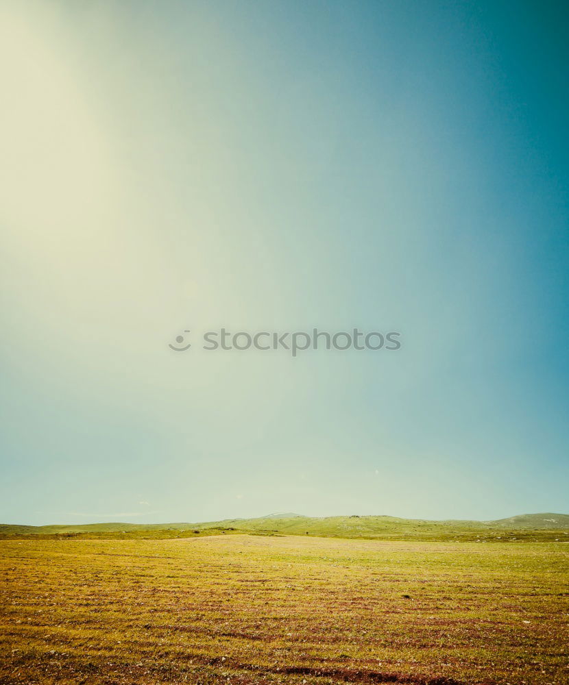 Similar – steppe Landscape