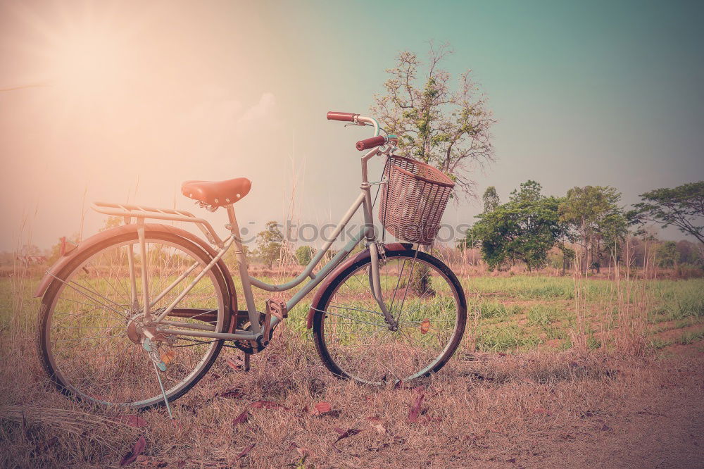 Vintage Damen Rennrad in herbstlicher Parkanlage, Totale.