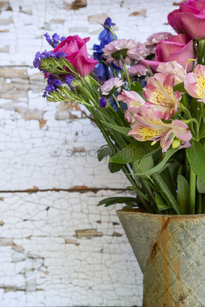 Image, Stock Photo Garden tools with watering can and flowers