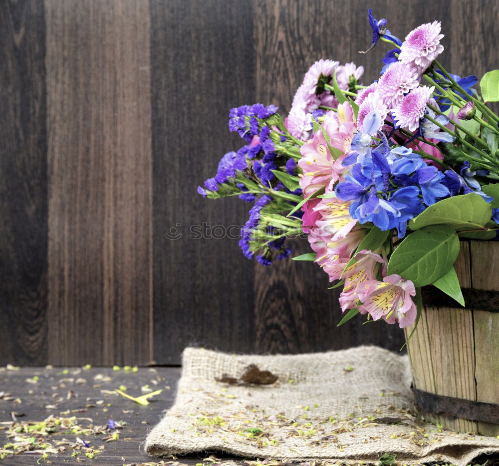 Similar – Image, Stock Photo bouquet of various multi colored delphiniums