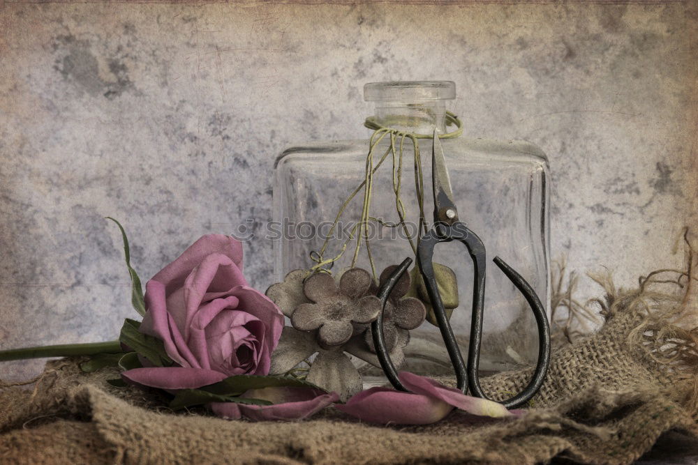 Similar – Image, Stock Photo Florist Worktable