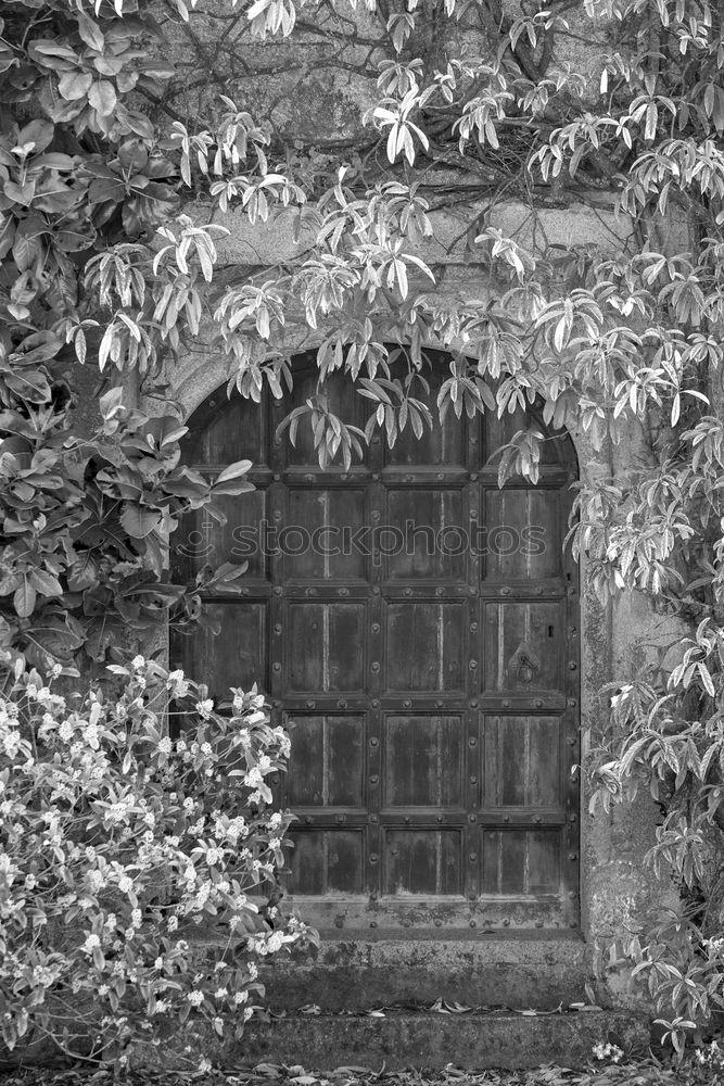 Similar – Foto Bild Alte überwucherte Holzbank vor einer alten verfallenen Holzhütte mit Gardinen in Lage bei Detmold in Ostwestfalen-Lippe, fotografiert in klassischem Schwarzweiß