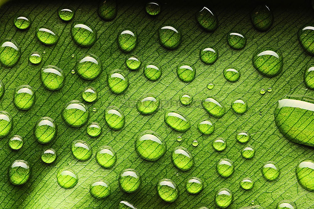 Similar – Image, Stock Photo water drops Style