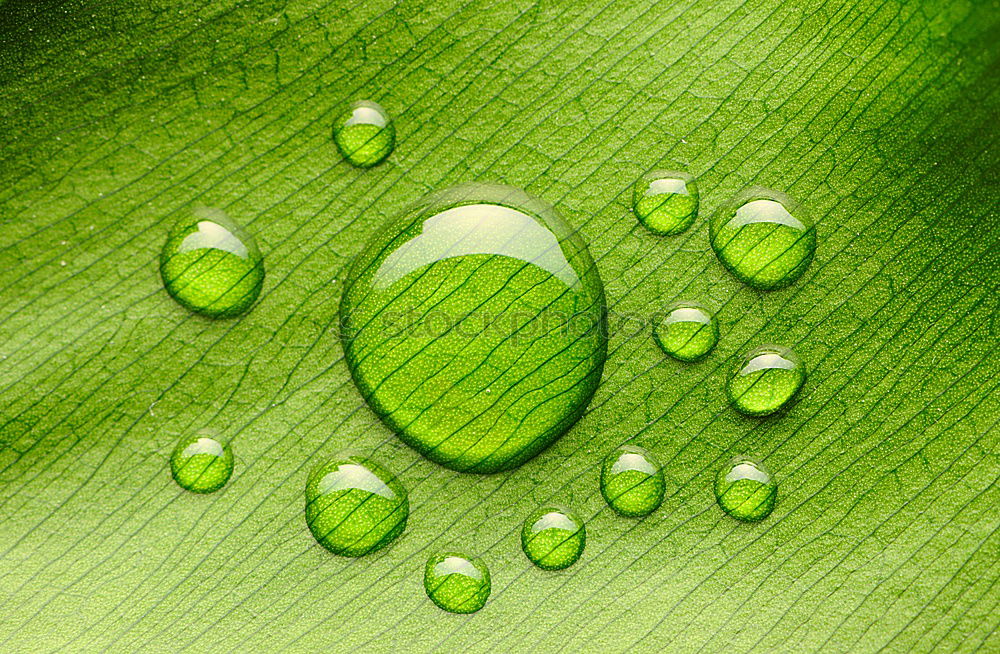Similar – Foto Bild Fotonummer 160570