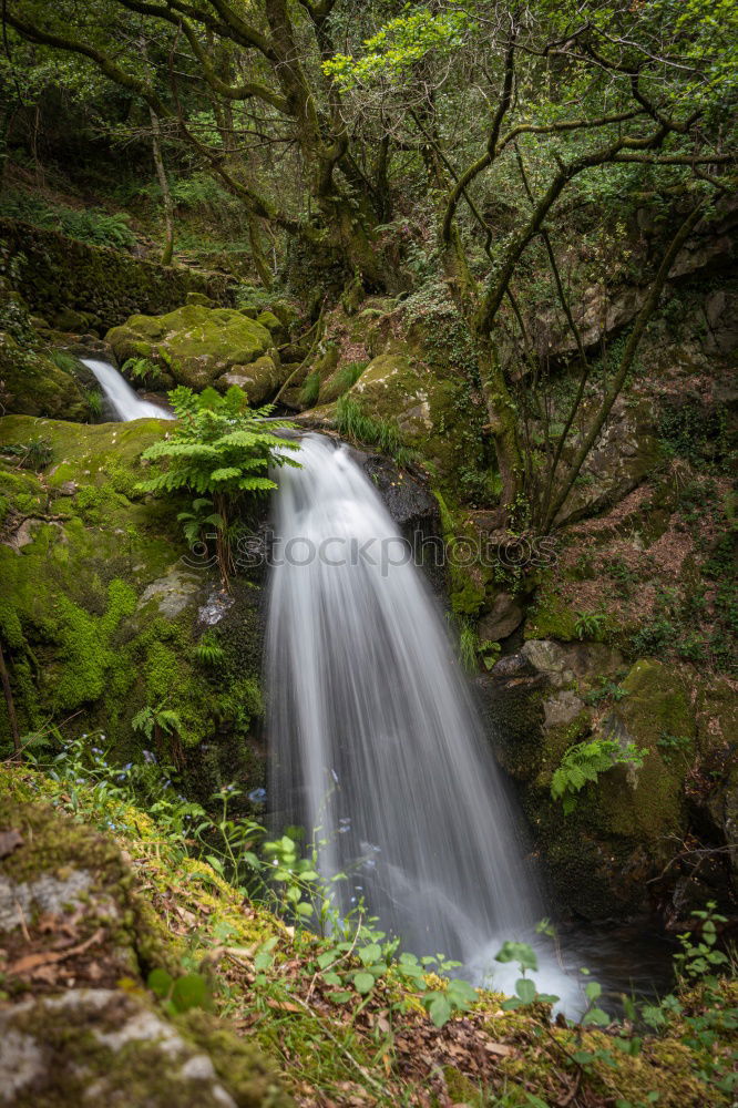 Similar – The Water Falling at the Yoro Waterfall in Gifu, Japan