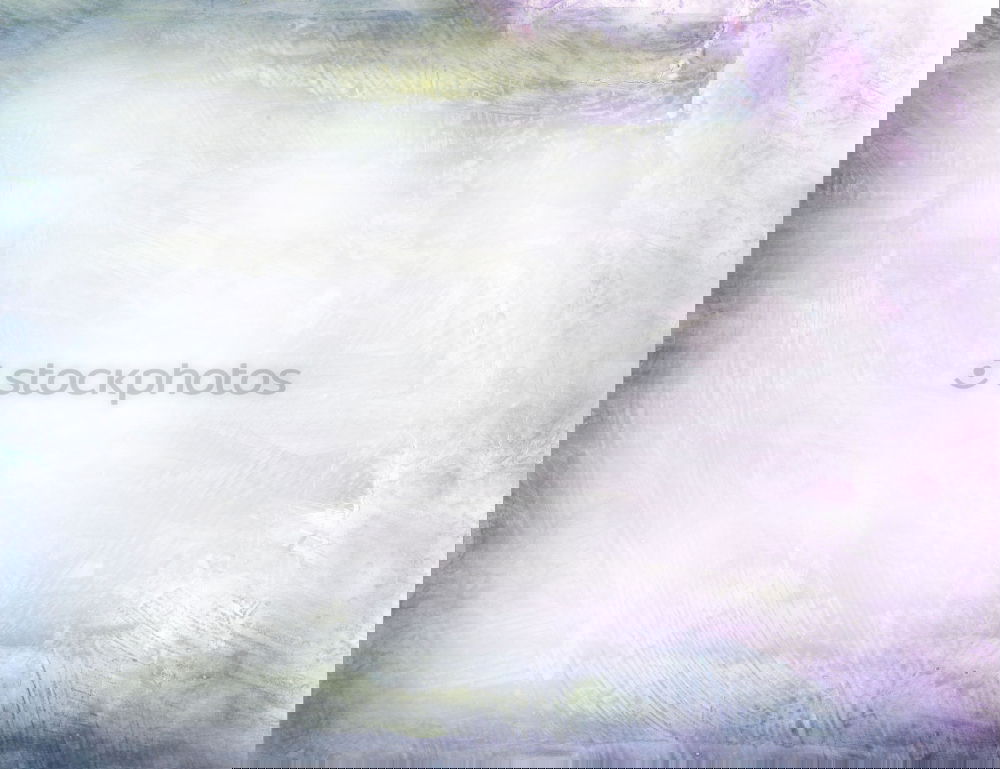 Image, Stock Photo violet abstract background