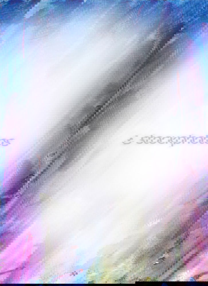 Similar – Foto Bild der teufel steckt im detail