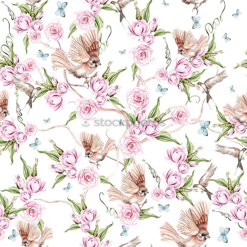 Similar – Pastel pink flowers pattern