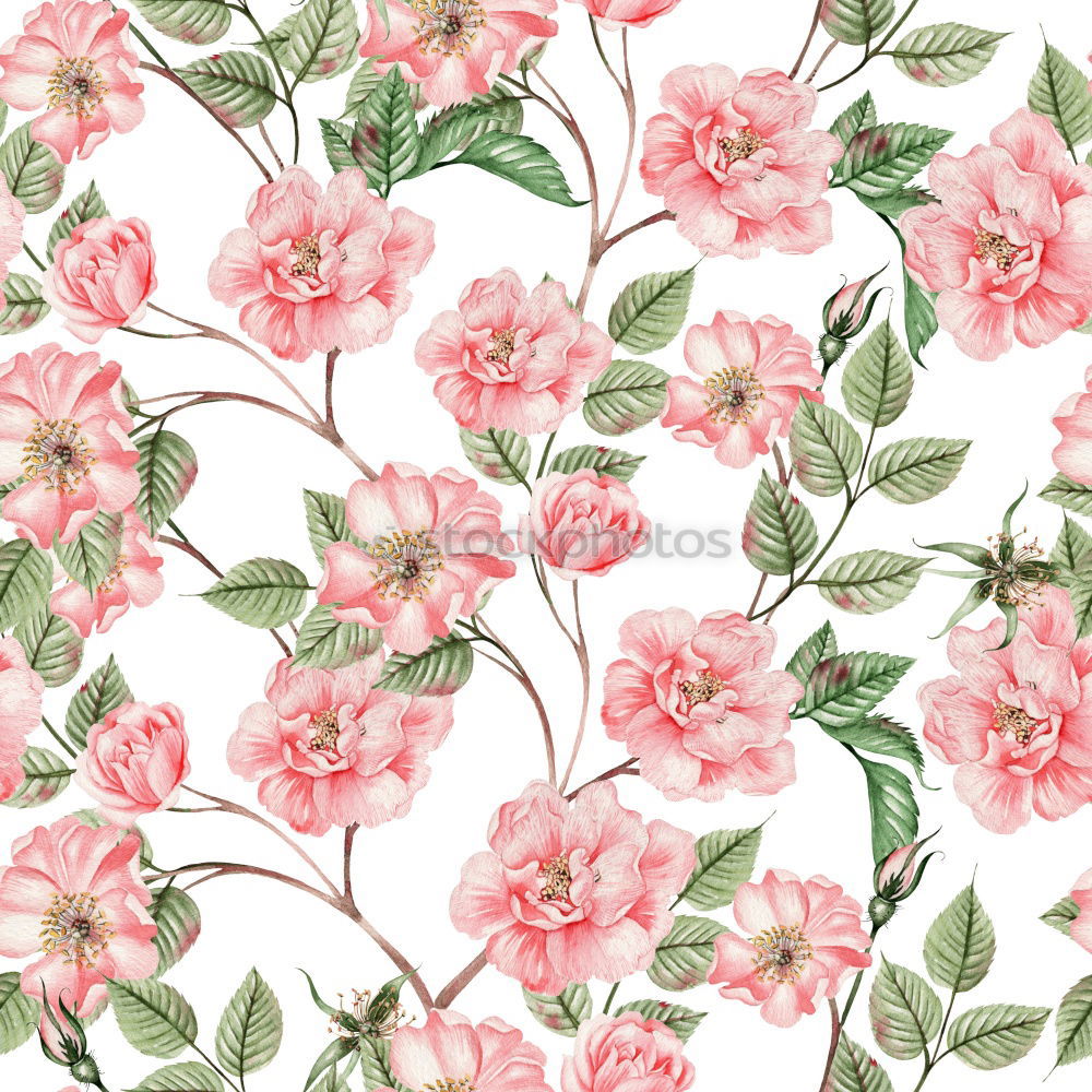 Pastel pink flowers pattern