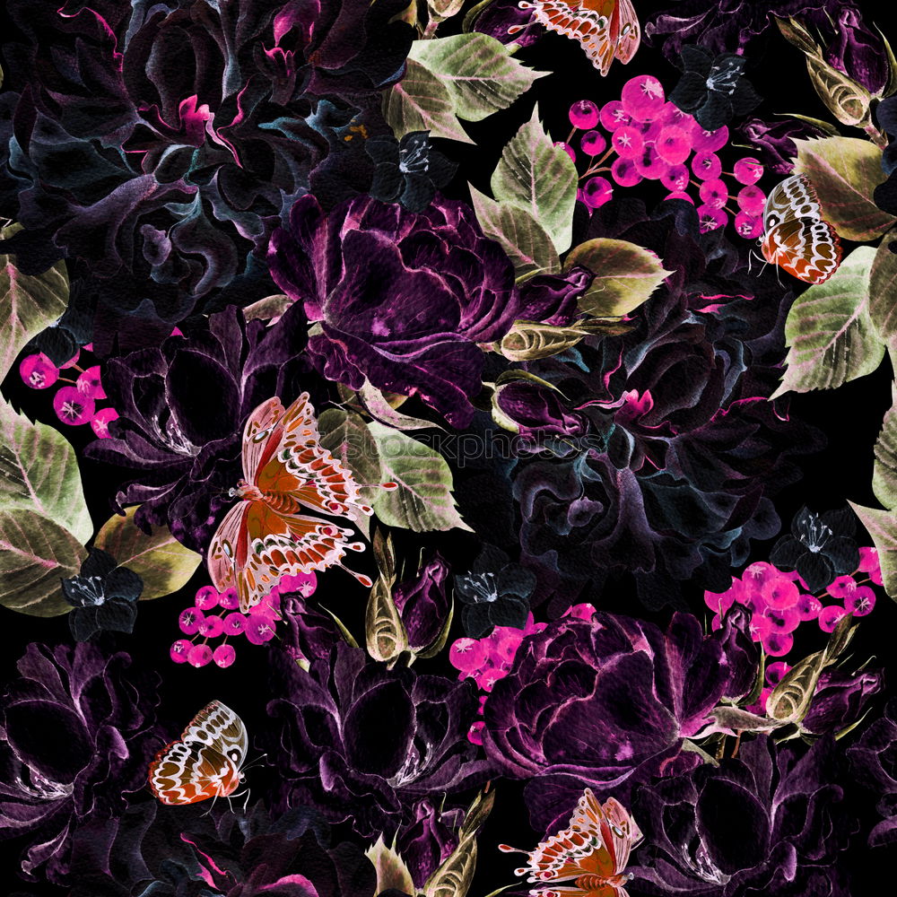 Image, Stock Photo butterflies Beautiful