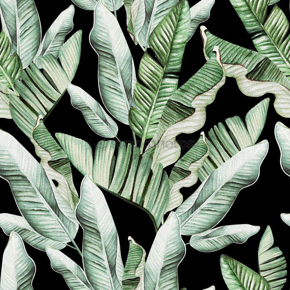 Similar – Image, Stock Photo Layout with various tropical palms and fern leaves