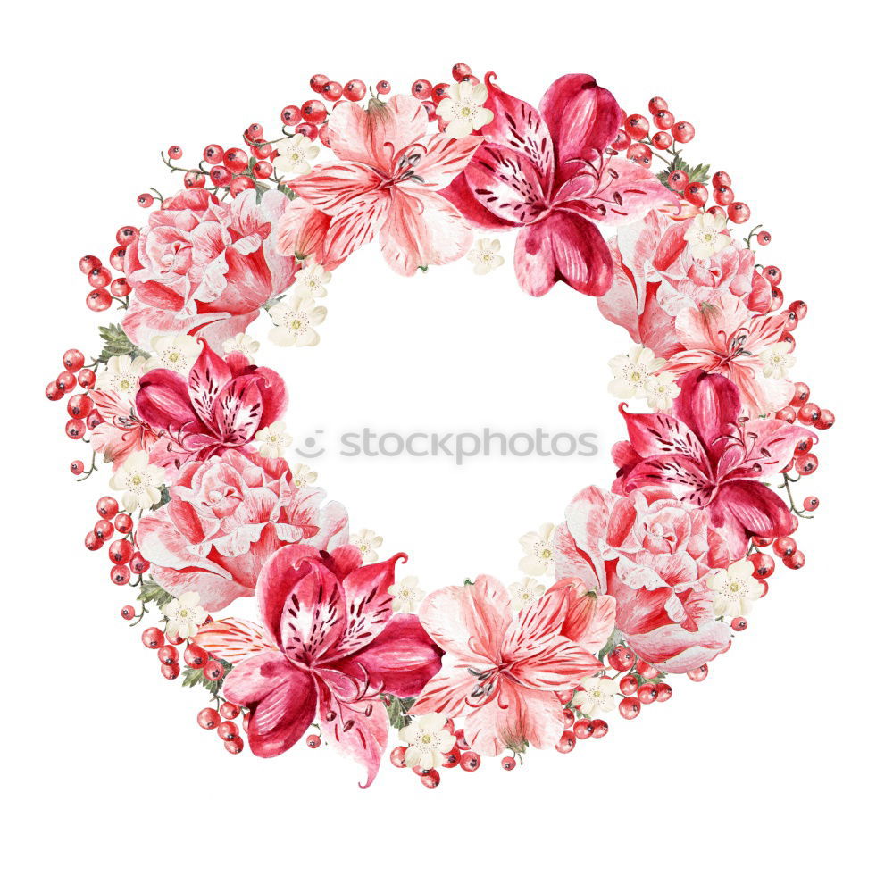 Similar – Flowers on a white background