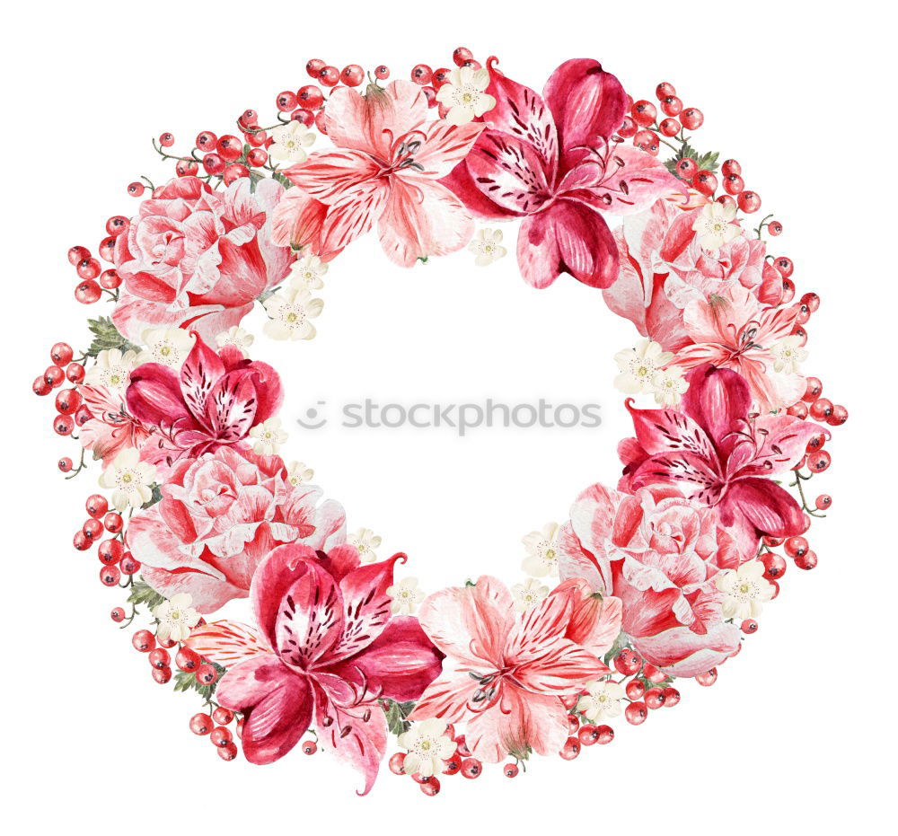 Similar – Flowers on a white background