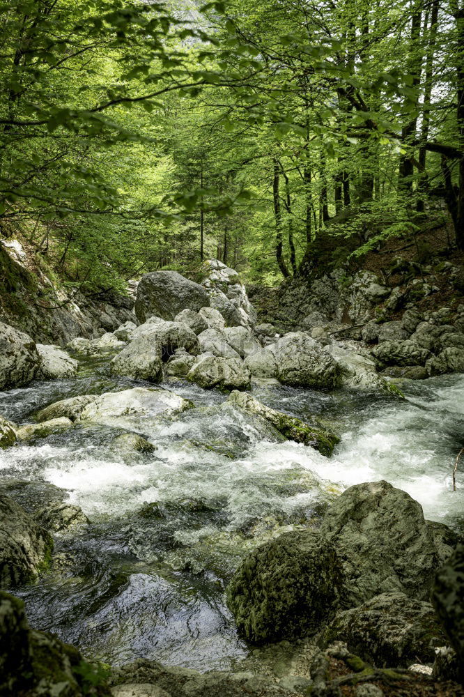 Similar – Foto Bild Es klappert die Mühle am rauschenden Bach