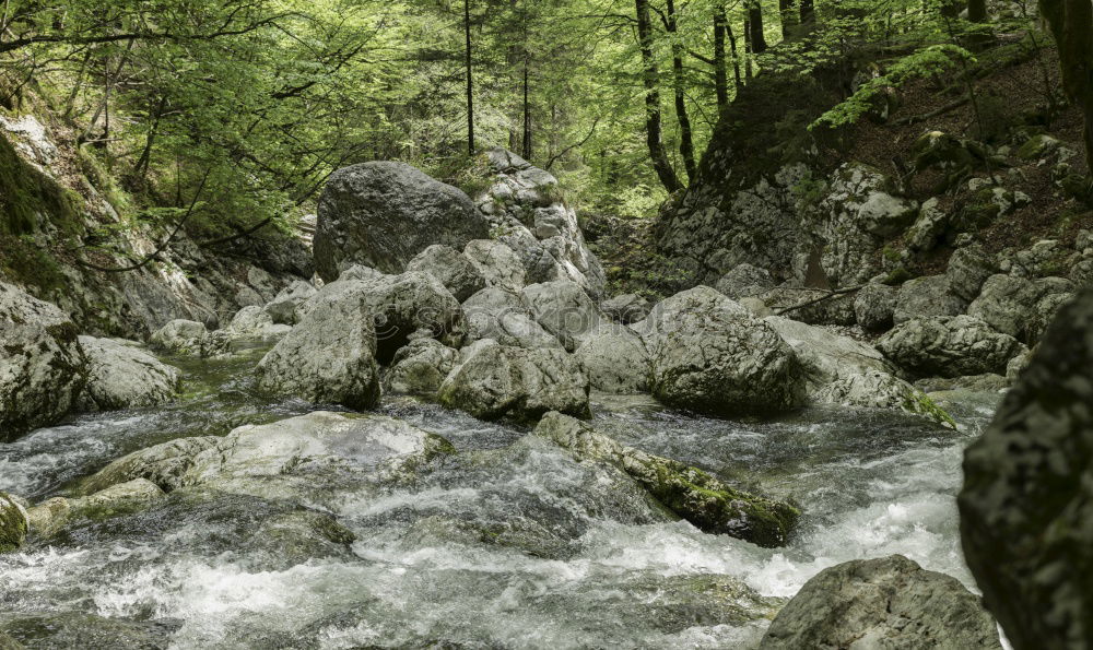 Similar – Image, Stock Photo Bypass moisture Trip