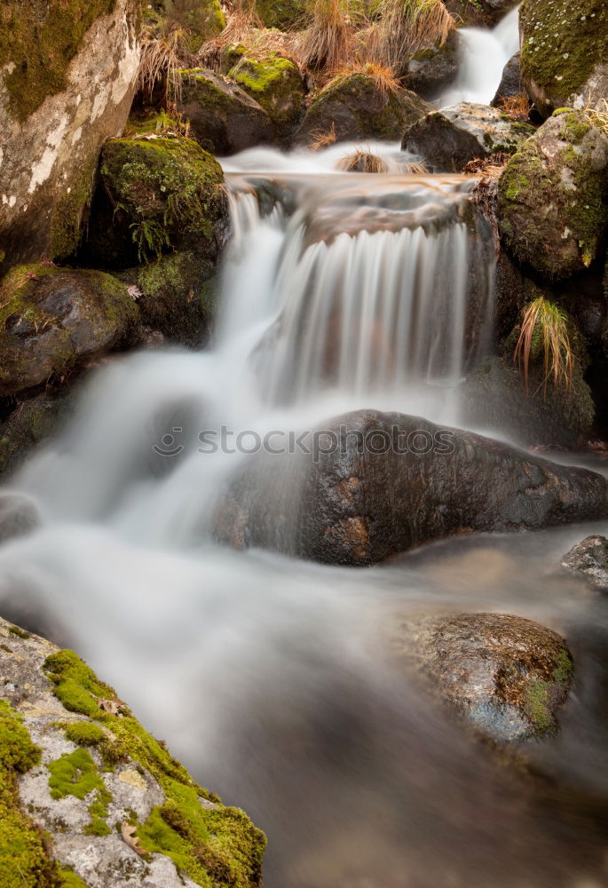 Similar – Image, Stock Photo downhill