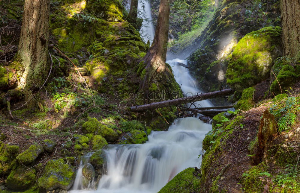 Similar – Image, Stock Photo Small cascade flowing in the forest