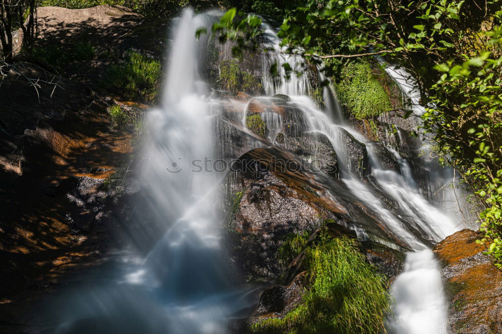 Similar – Foto Bild Krka Umwelt Natur