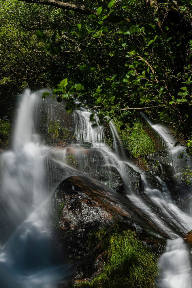 Image, Stock Photo Beautiful waterfall in the forest