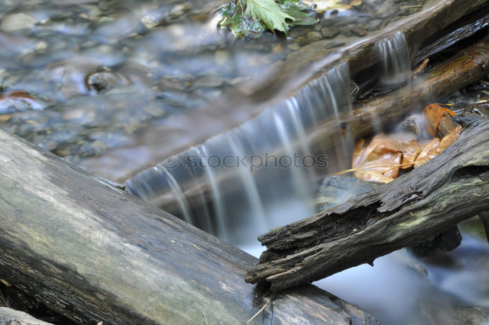 Similar – Image, Stock Photo Stony steady dripping ll