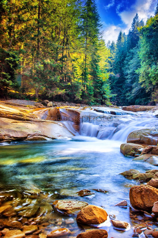 Similar – Image, Stock Photo small creek in the undergrowth