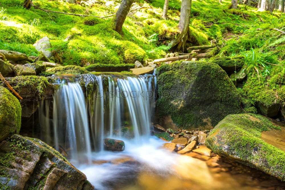 Similar – Image, Stock Photo Waterfall in autumn