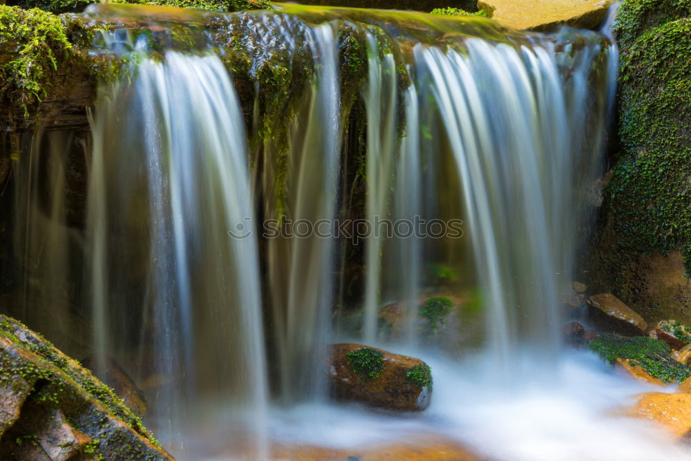 course of a brook Nature