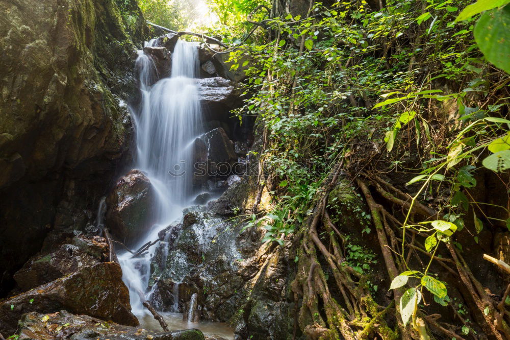 Similar – Image, Stock Photo waterfall Virgin forest