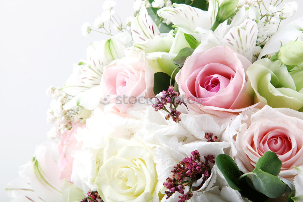 Similar – Image, Stock Photo Bridal bouquet of the bride with flowers roses in white at wedding