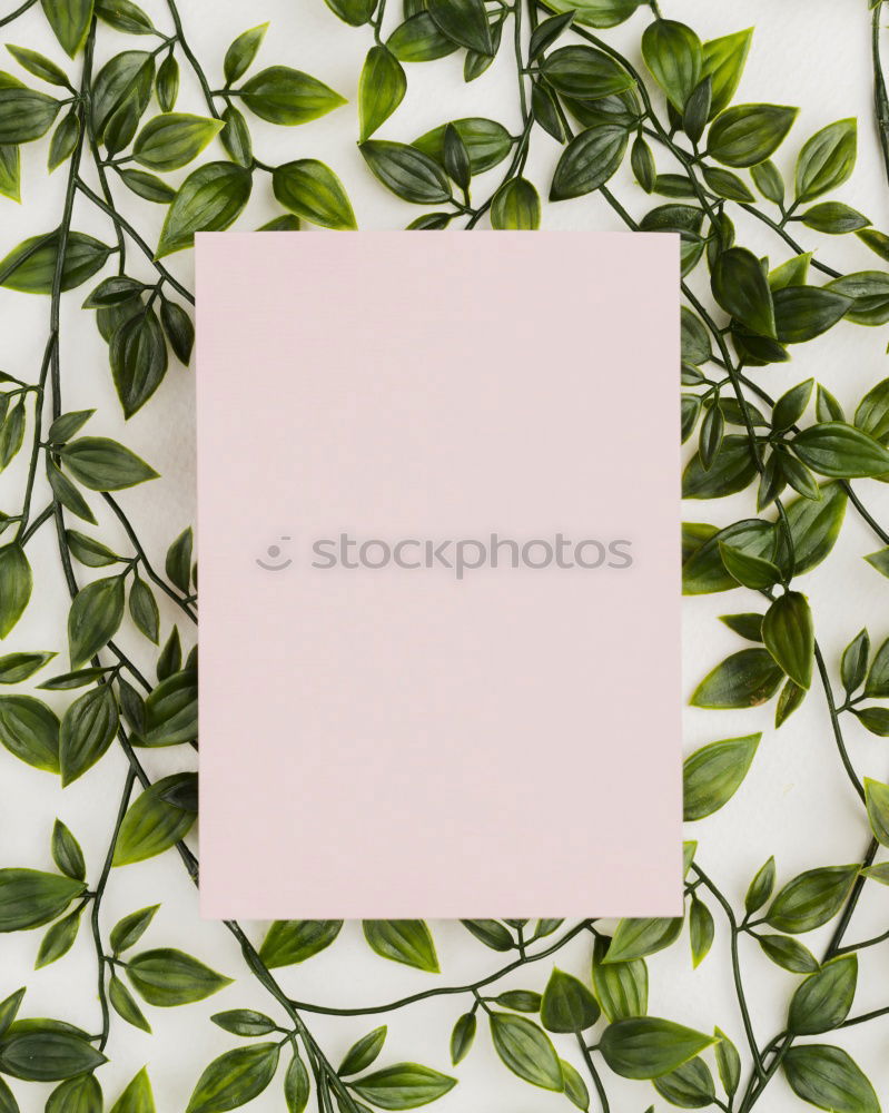 Image, Stock Photo Table with fresh green leaves and flowers