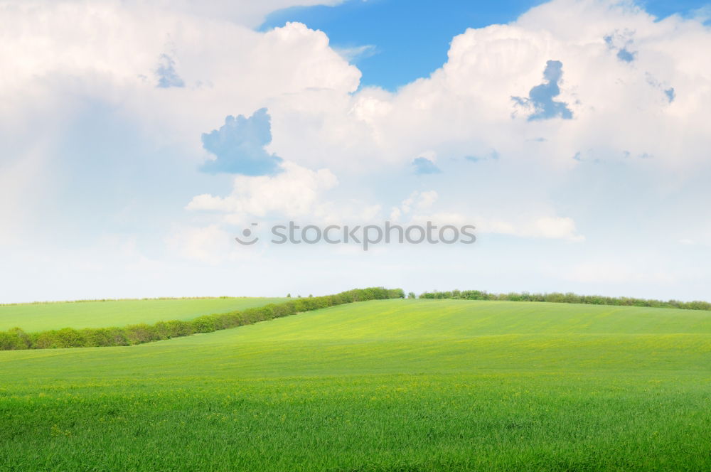 Similar – Foto Bild Himmel auf Erden Wolken