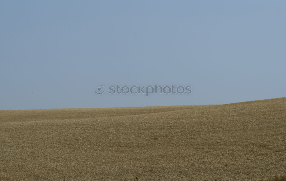 Similar – Image, Stock Photo midsummer Landscape