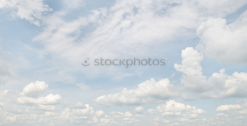 Image, Stock Photo green lung Environment